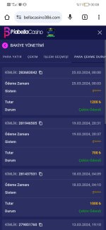 Screenshot_20240325_000812_com.android.chrome.jpg