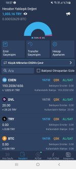 Screenshot_20240514-185758_Bitexen.jpg