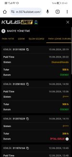 Screenshot_20240615_204311_com.android.chrome.jpg