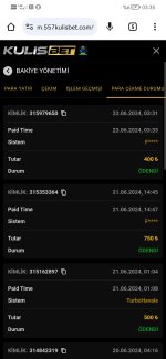 Screenshot_20240623_033524_com.android.chrome.jpg