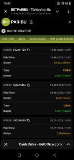 Screenshot_20241010-184352.png