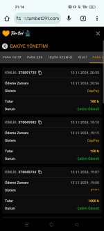 Screenshot_2024-11-13-21-14-38-75_40deb401b9ffe8e1df2f1cc5ba480b12.jpg