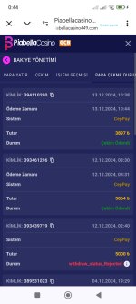 Screenshot_2024-12-14-00-44-31-550_com.android.chrome.jpg