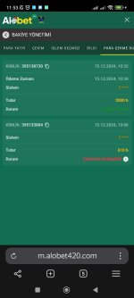 Screenshot_2024-12-15-11-53-50-229_com.yandex.browser.jpg