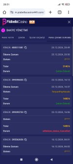 Screenshot_2024-12-25-20-51-09-970_com.android.chrome.jpg
