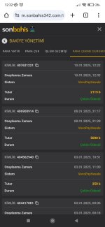 Screenshot_2025-01-10-12-32-39-984_com.android.chrome.jpg