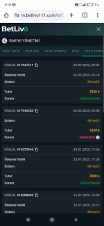 Screenshot_2025-02-02-09-18-54-586_com.android.chrome.jpg