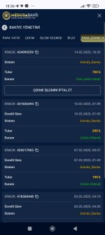 Screenshot_2025-02-14-18-36-55-290_com.android.chrome.jpg