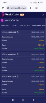 Screenshot_2025-02-15-14-47-40-679_com.android.chrome.jpg