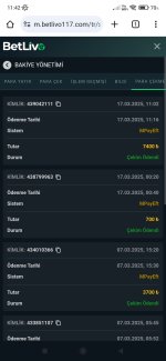 Screenshot_2025-03-17-11-42-19-871_com.android.chrome.jpg