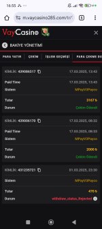 Screenshot_2025-03-17-16-55-22-707_com.android.chrome.jpg