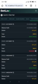 Screenshot_2025-03-21-23-17-28-696_com.android.chrome.jpg
