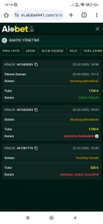 Screenshot_2025-03-22-19-14-53-946_com.android.chrome.jpg