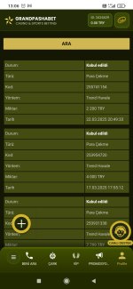 Screenshot_2025-03-23-13-06-25-752_com.android.chrome.jpg