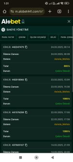 Screenshot_2025-03-24-01-31-38-824_com.android.chrome.jpg