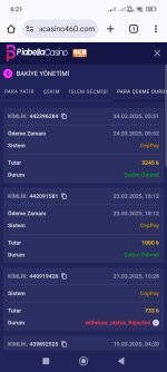 Screenshot_2025-03-24-06-21-07-707_com.android.chrome.jpg