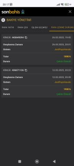 Screenshot_2025-03-26-20-17-43-140_com.android.chrome.jpg