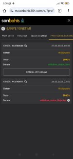 Screenshot_2025-03-27-00-38-35-790_com.android.chrome.jpg