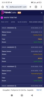 Screenshot_2025-03-29-22-51-28-612_com.android.chrome.jpg