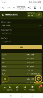 Screenshot_20250411-170421.jpg