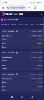 Screenshot_2025-04-11-22-34-08-104_com.android.chrome.jpg