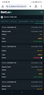 Screenshot_2025-04-12-19-28-46-995_com.android.chrome.jpg