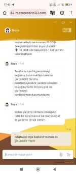 Screenshot_2025-08-13-17-43-33-127_com.android.chrome.jpg