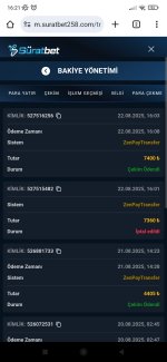 Screenshot_2025-08-22-16-21-52-141_com.android.chrome.jpg